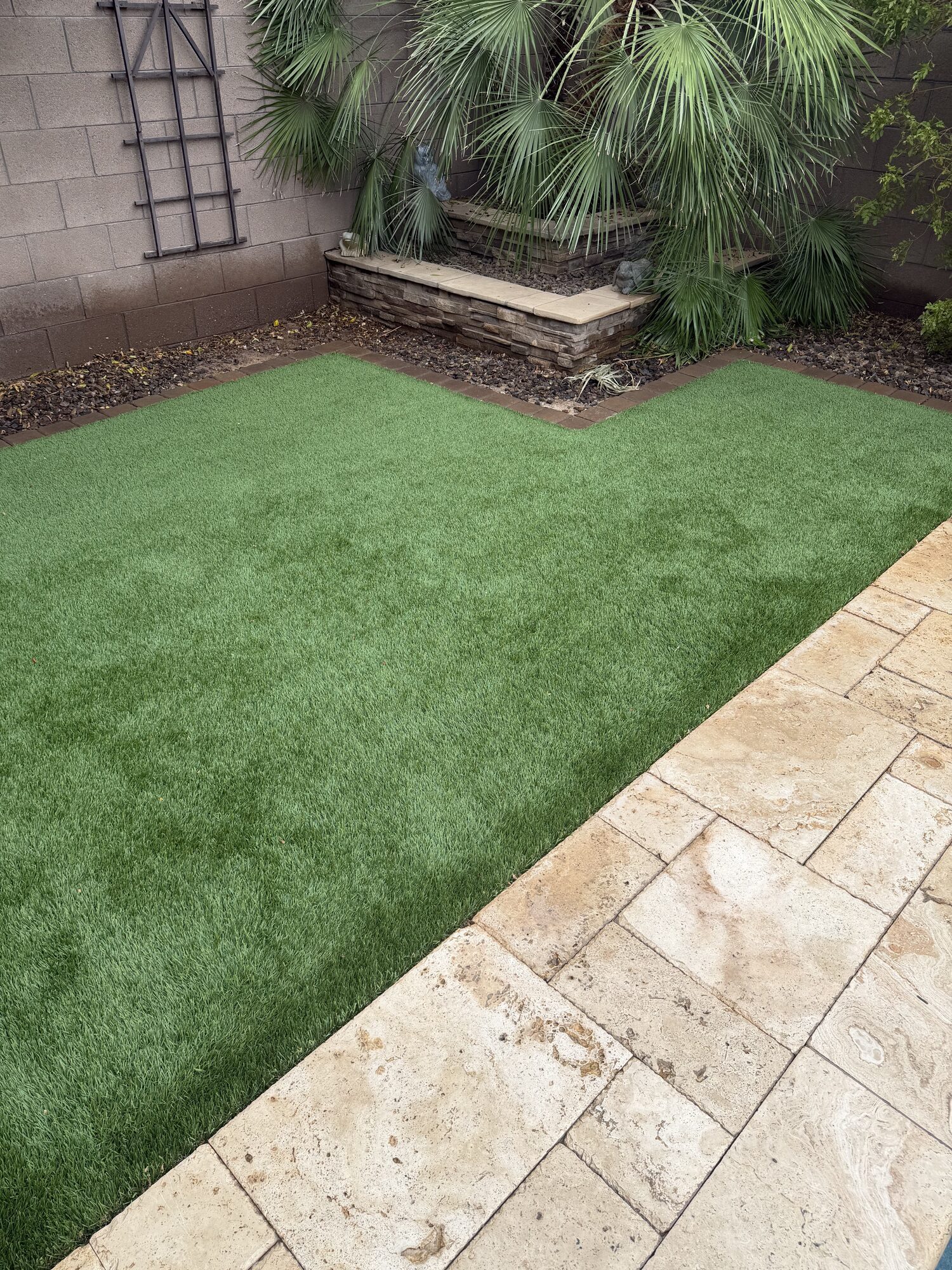 Turf Cleaning